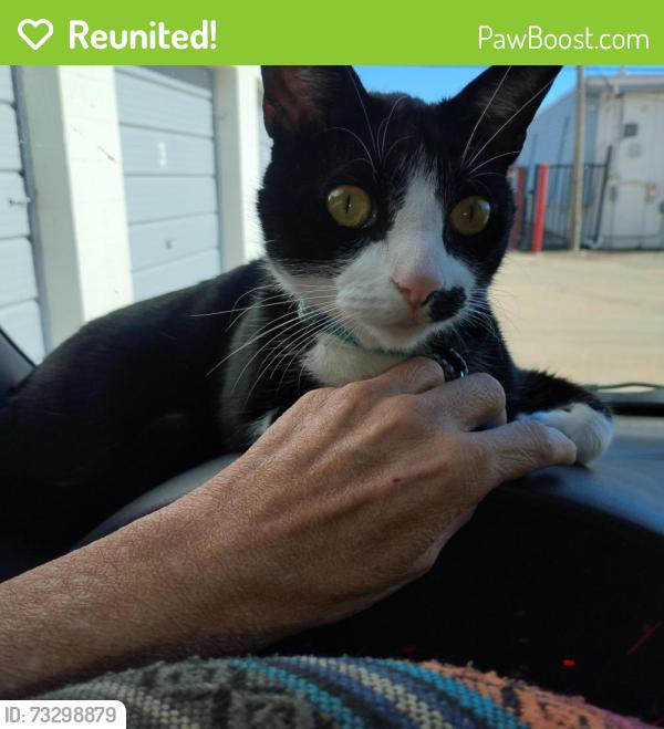 Reunited Male Cat last seen Sante Fe and 141st street, Oklahoma City, OK 73170