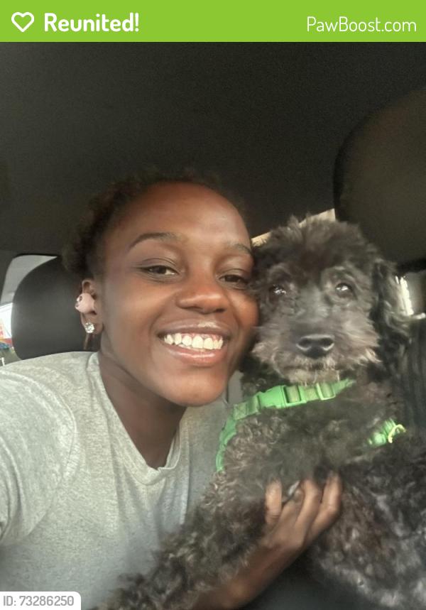 Reunited Male Dog last seen Bunker Hill/Edgewood, Jacksonville, FL 32208