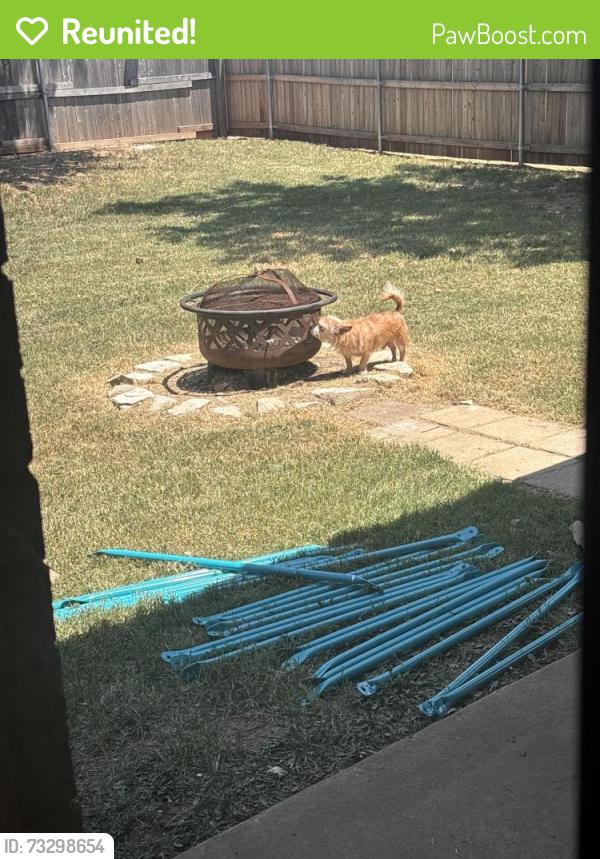 Reunited Male Dog last seen Santa Fe/164th, Edmond, OK 73013
