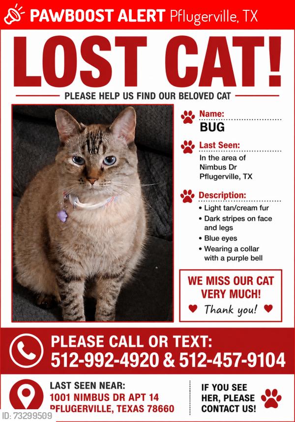 Lost Female Cat last seen Near nimbus Dr Pflugerville TX, Pflugerville, TX 78660