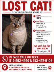 Lost Female Cat last seen Near nimbus Dr Pflugerville TX, Pflugerville, TX 78660