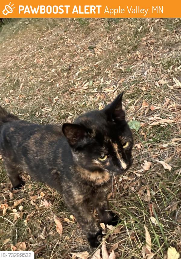 Found/Stray Unknown Cat last seen 140th St W & McAndrews Rd, Apple Valley, MN 55124