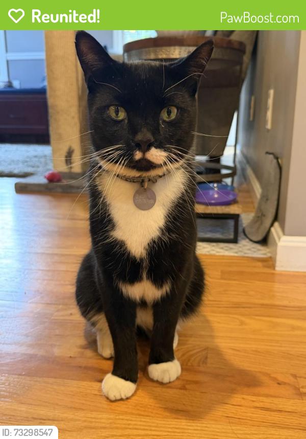 Reunited Male Cat last seen Popes Farm, Prospect St., Winnetuxet St. Plympton MA., Plympton, MA 02367