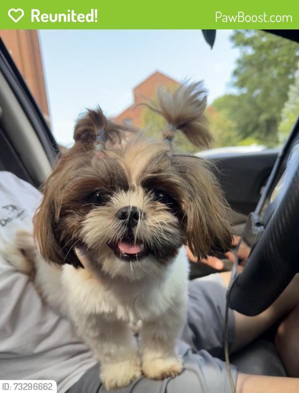 Reunited Female Dog last seen 45th and kissena blvd, Queens, NY 11354