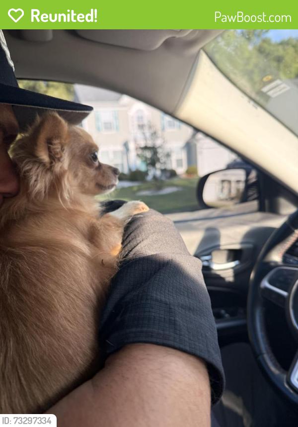 Reunited Female Dog last seen Sandy Ridge, High Point, NC 27265