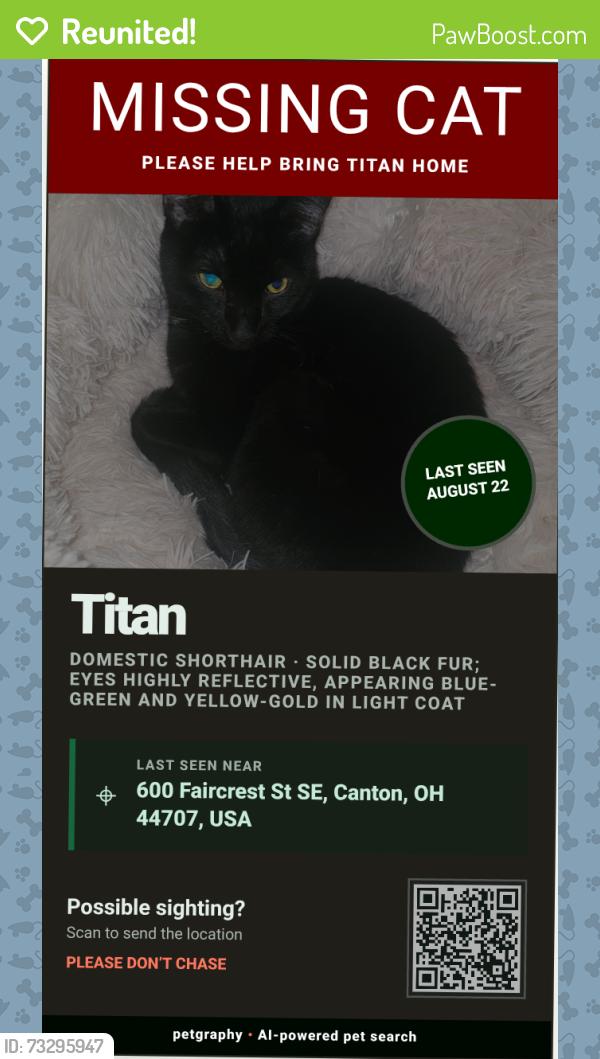 Reunited Male Cat last seen 39th st sw canton, Canton, OH 44706