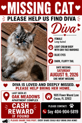 Reunited Female Cat last seen Oak Meadows apmts, Cocoa, FL 32922