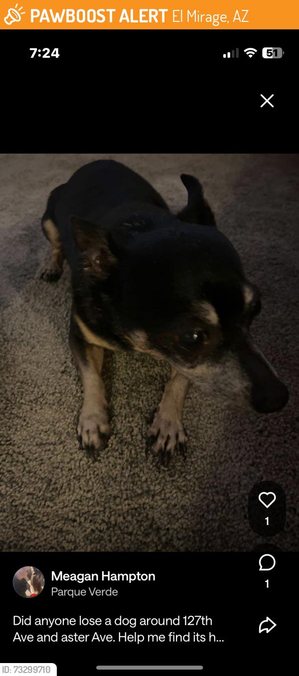 Found/Stray Unknown Dog last seen 126th Ave and aster, El Mirage, AZ 85335
