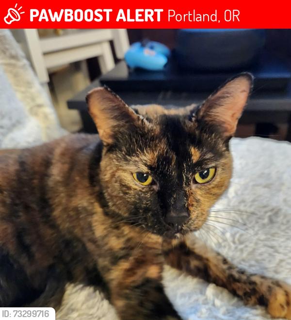Lost Female Cat last seen HB LEE MIDDLE SCHOOL, Portland, OR 97230