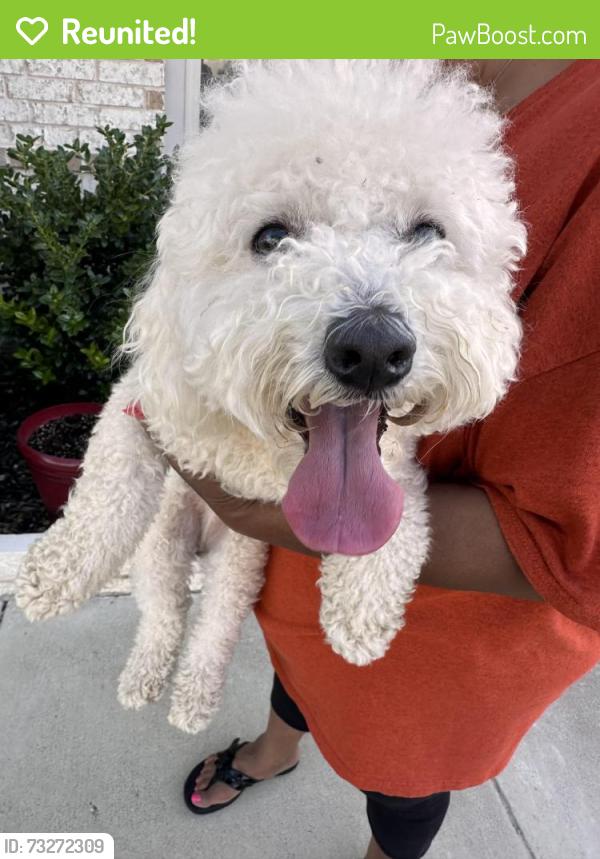 Reunited Male Dog last seen Everglades and Palmetto, Forney, TX 75126