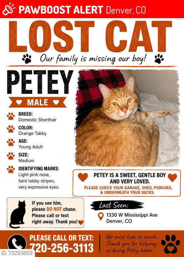 Lost Male Cat last seen The Riverpoint apmts, Denver, CO 80223