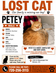 Lost Male Cat last seen The Riverpoint apmts, Denver, CO 80223