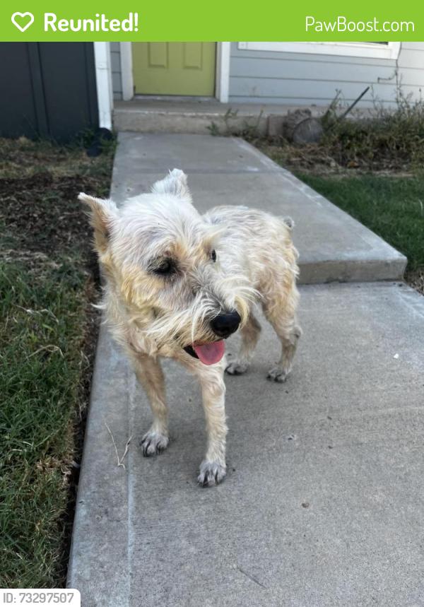 Reunited Male Dog last seen NW 8th & Tulsa, Oklahoma City, OK 73106