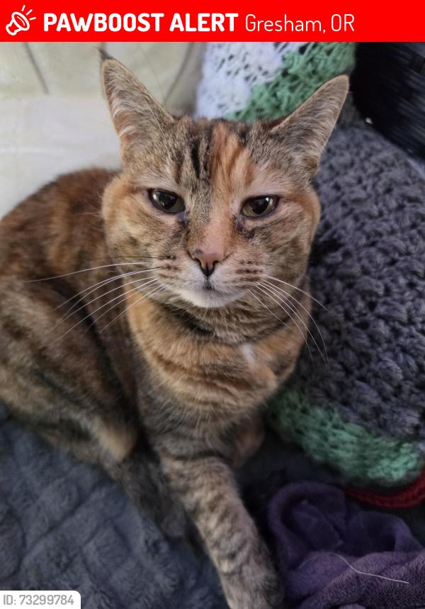 Lost Female Cat last seen On gresham butte up the hill from eastman parkway and the springwater trail, Gresham, OR 97080