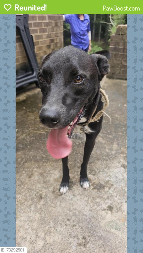 Reunited Male Dog last seen Interstate 70, Burke County, NC 28619