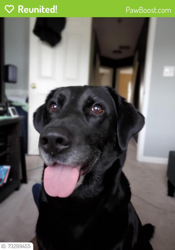 Reunited Male Dog last seen Near E 117th Ave, Commerce City, CO 80022