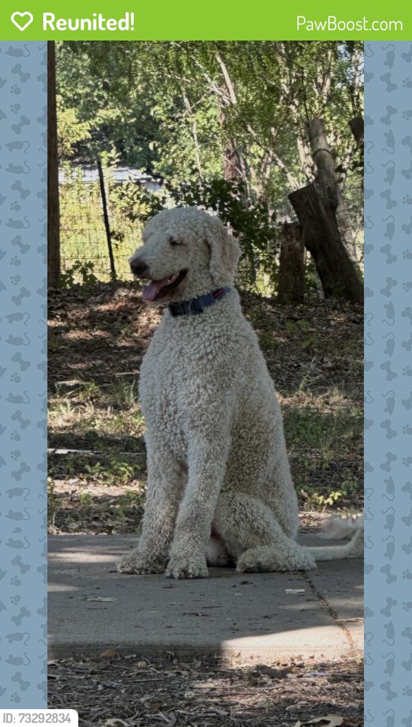 Reunited Male Dog last seen Washington high school, Conroe, TX 77301