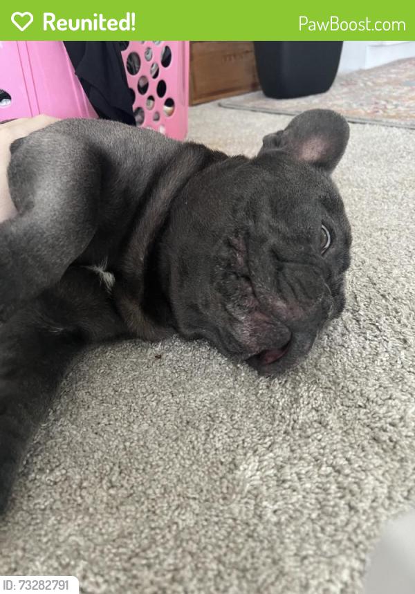 Reunited Male Dog last seen Near Monterey Cir, Westminster, CA 92683, USA, Westminster, CA 92683