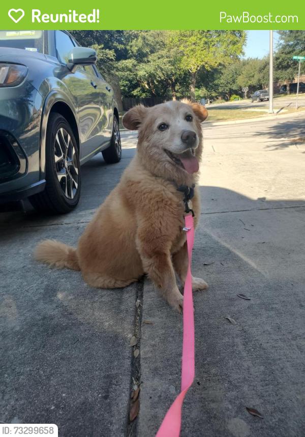 Reunited Male Dog last seen Near Kite Corner, New Braunfels, TX 78130
