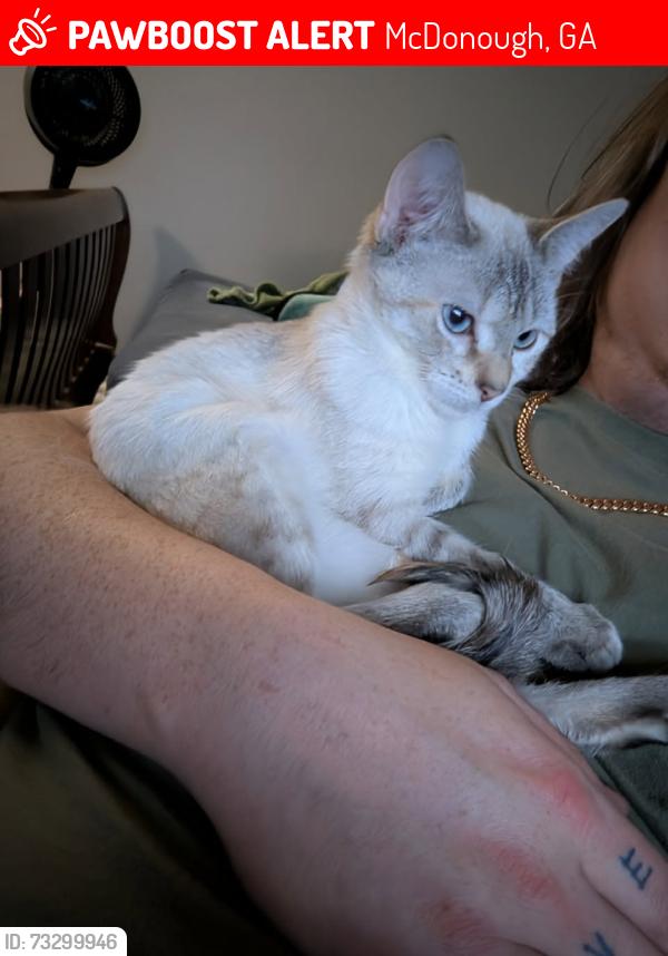 Lost Female Cat last seen Jonesboro Road, McDonough, GA 30253
