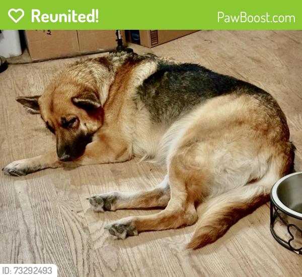 Reunited Female Dog last seen County Rd 114 and Willonook Ranch Trail, Elbert County, CO 80107