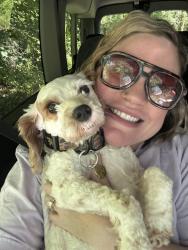 Reunited Male Dog last seen River Falls/Hwy 276, Marietta, SC 29661