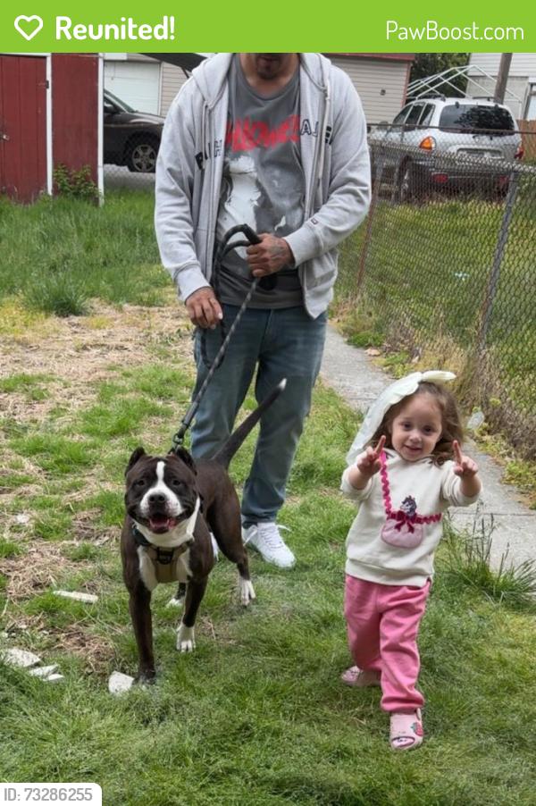 Reunited Male Dog last seen South 13th st Harrisburg 17104, Harrisburg, PA 17104