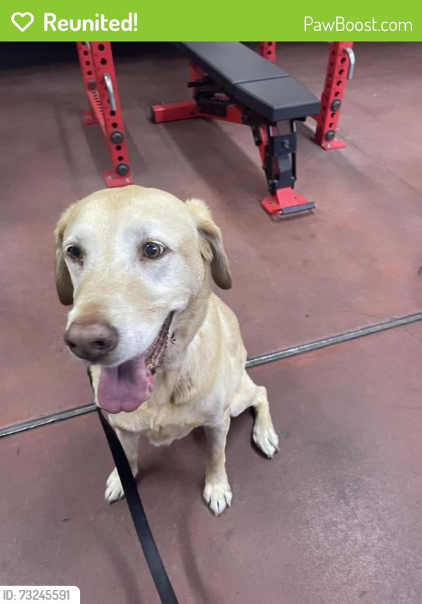 Reunited Male Dog last seen Monterey Fire Station 13, Monterey, CA 93940