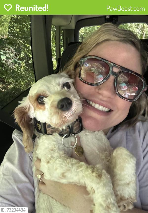 Reunited Male Dog last seen River Falls/Hwy 276, Marietta, SC 29661