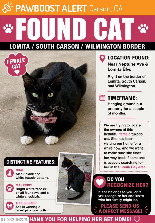 Found/Stray Female Cat last seen Neptune’s/Lomita, Carson, CA 90745