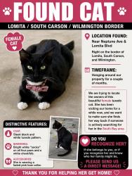 Found/Stray Female Cat last seen Neptune’s/Lomita, Carson, CA 90745