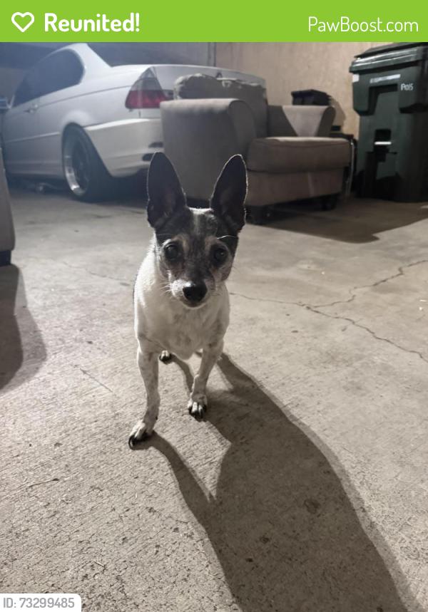Reunited Male Dog last seen Lark Ellen, Covina, CA 91722
