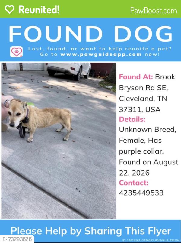 Reunited Female Dog last seen Blue Springs Road, South Cleveland, TN 37311