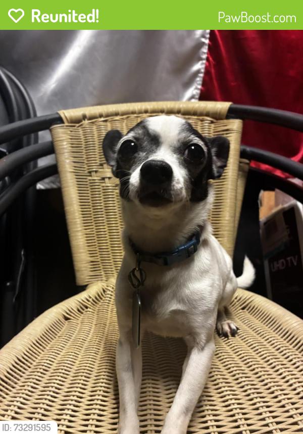 Reunited Male Dog last seen West lawn park., Chicago, IL 60629