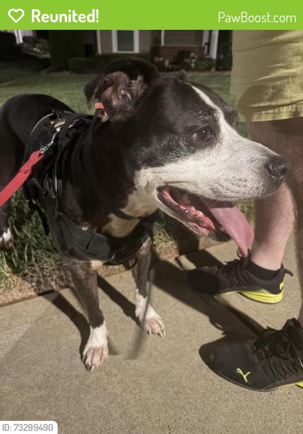 Reunited Male Dog last seen Northlake, Charlotte, NC 28216