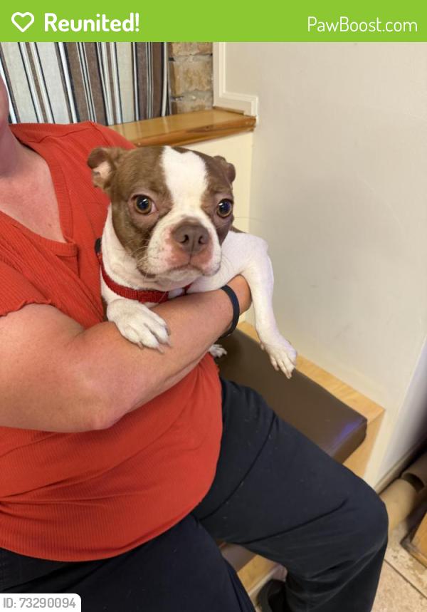 Reunited Female Dog last seen Near Selman Rd. Armuchee, Ga, Rome, GA 30165
