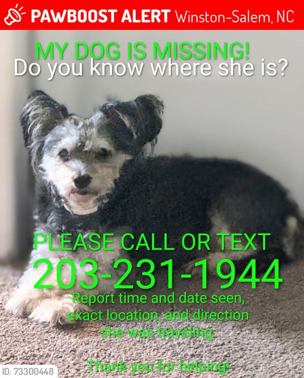 Lost Female Dog last seen Billy Dr, Winston-Salem, NC 27107