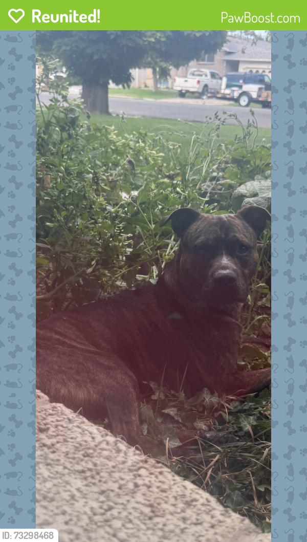 Reunited Unknown Dog last seen 4700s Redwood Rd, Taylorsville, UT 84123