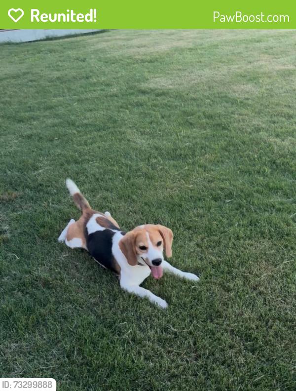 Reunited Male Dog last seen Riverstone Dr., Memphis, TN 38125