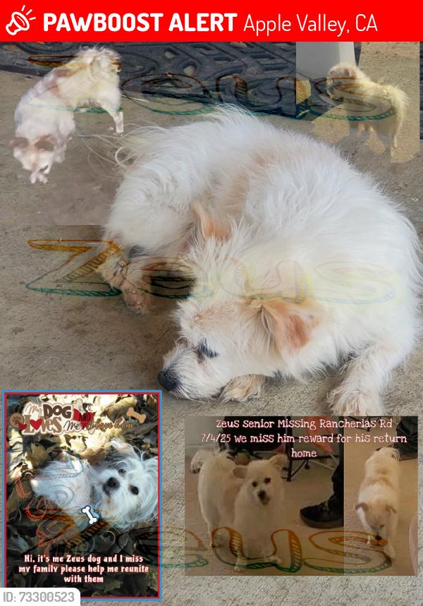 Lost Male Dog last seen apmt lower level on property, Apple Valley, CA 92307