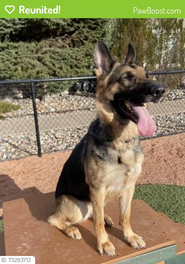 Reunited Female Dog last seen Palmer Park and Space Center, Colorado Springs, CO 80915