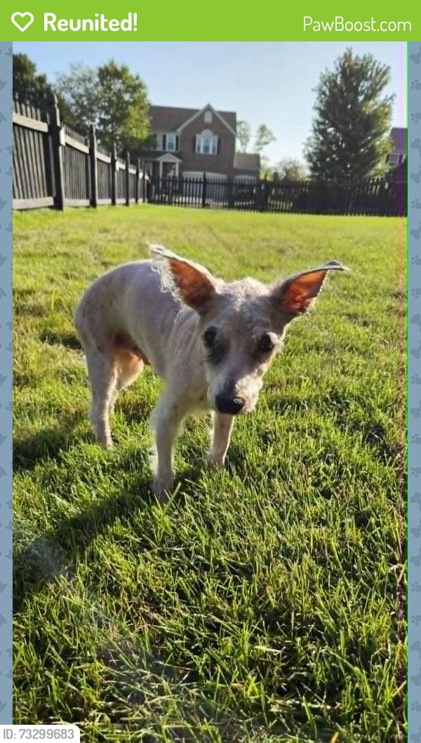 Reunited Male Dog last seen By The Learning Experience in Brownsburg, IN, Brownsburg, IN 46112