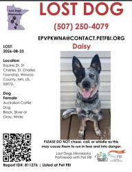 Lost Female Dog last seen Last seen heading east on equine drive off of Hwy 74 into a corn field, Saint Charles, MN 55972