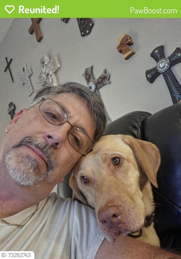 Reunited Male Dog last seen Heights Valley area, Converse, TX 78109