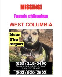 Lost Female Dog last seen Beachwood Drive, Lexington County, SC 29170