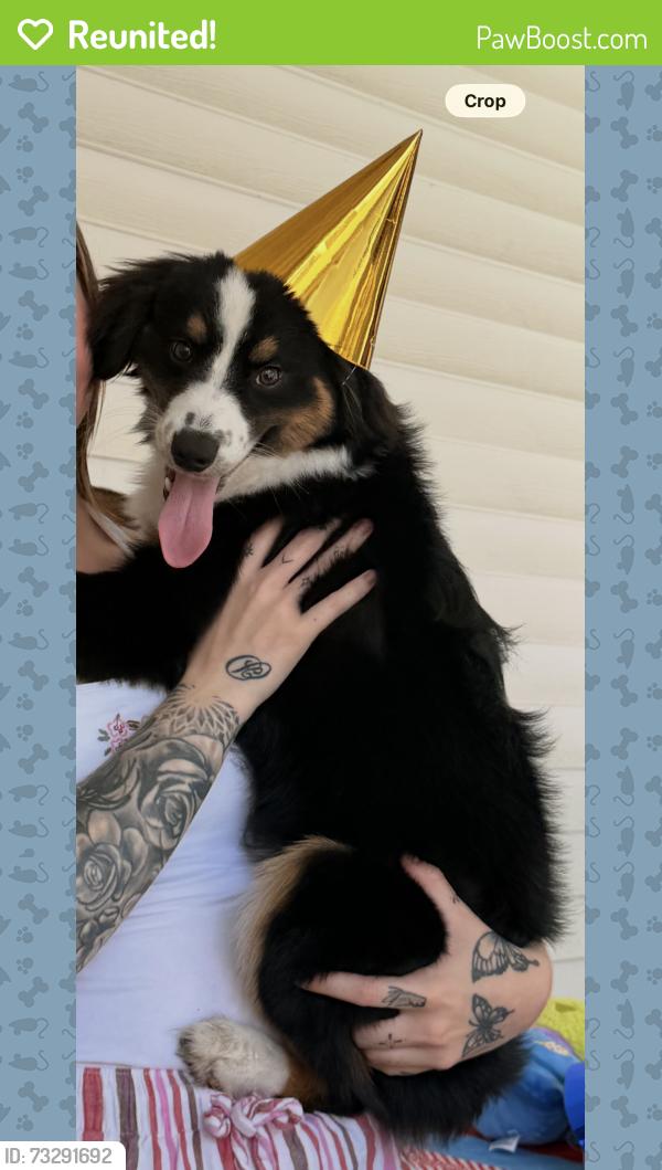 Reunited Male Dog last seen Near Eagles Lake Rd, Virginia Beach, VA 23456, USA, Virginia Beach, VA 23456