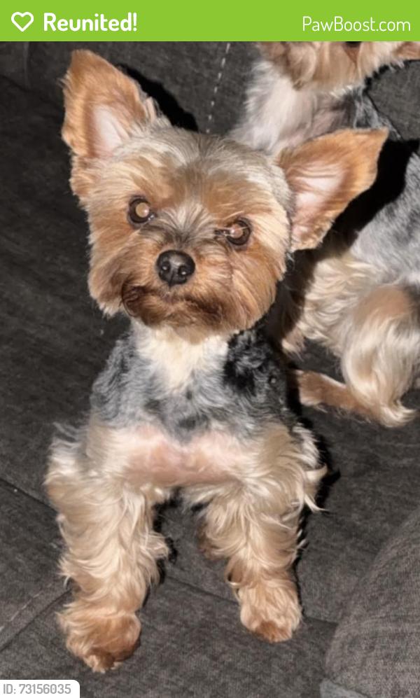 Reunited Female Dog last seen Miller and 314, Los Lunas, NM 87031