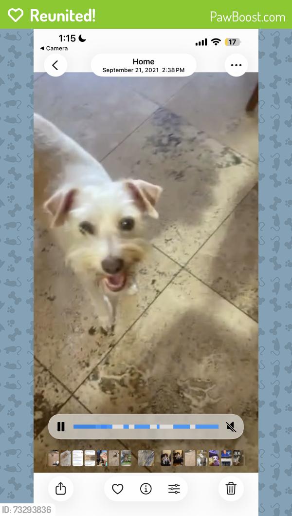 Reunited Male Dog last seen Quail garden, Encinitas, CA 92024