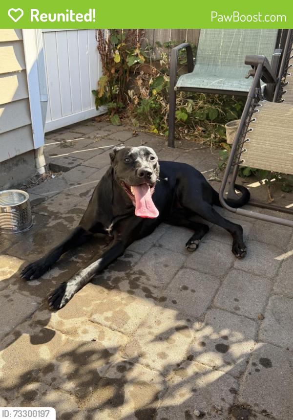 Reunited Female Dog last seen 119th & 43rd Ave. Vancouver, WA, Vancouver, WA 98686