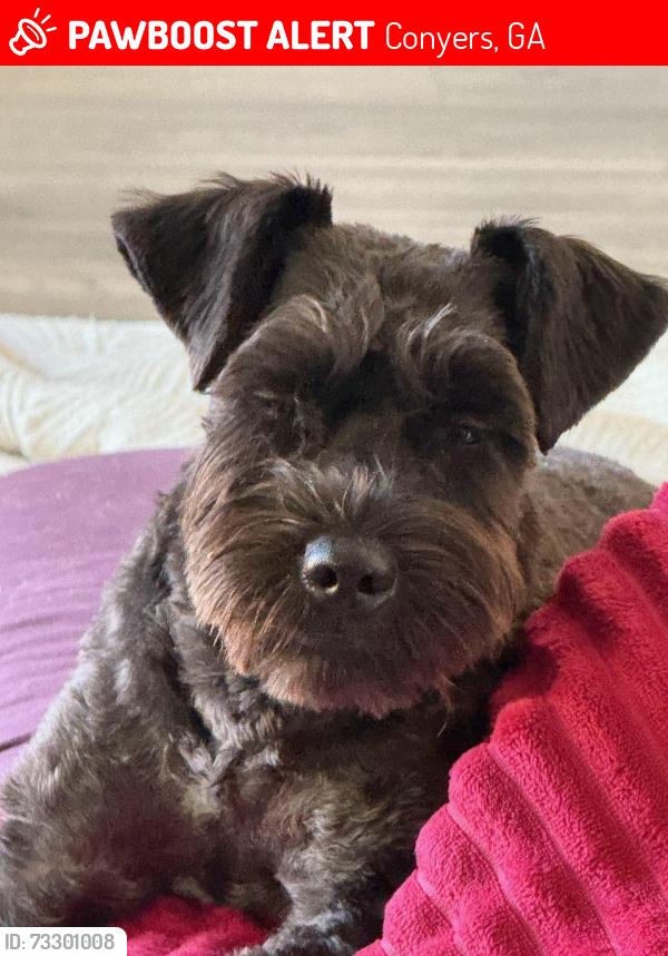 Lost Male Dog last seen Ellington, Conyers, GA 30013